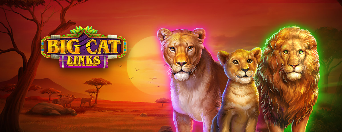 Big Cat Links slot game